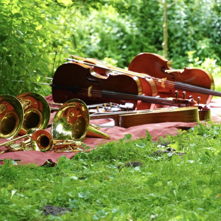 instrumente auf der wiese